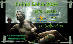 Locandina Anima Selva