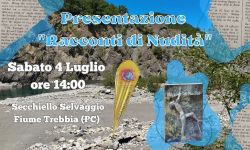 Locandina Festanita